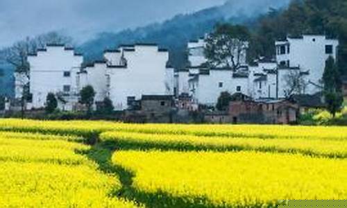 婺源一周天气预扱情况最新消息_婺源天气预