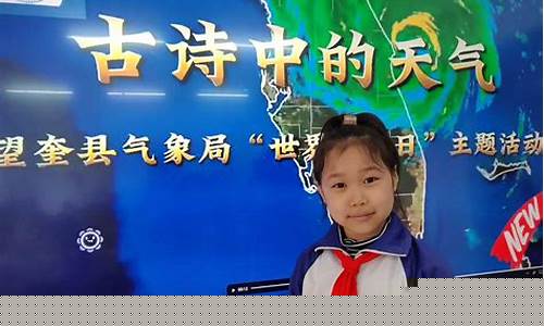 望奎天气预报15天天气情况如何_望奎天气