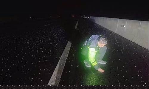 山东聊城的天气预报一周天气预报_山东聊城