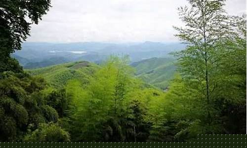 莫干山天气预报15天查询百度地图_莫干山