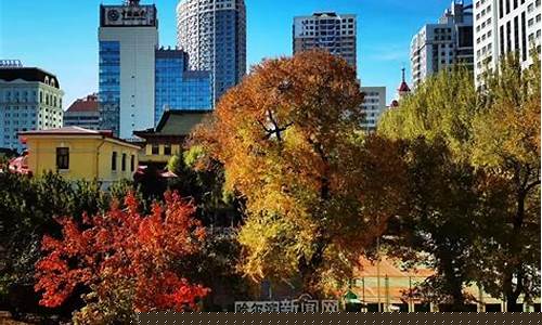 哈市一周天气预报30天气预报最新消息今天