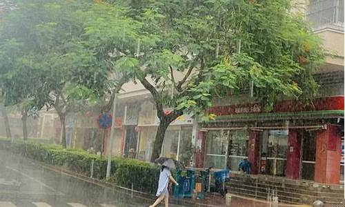 厦门今天几点下雨_厦门今天下午有雨吗