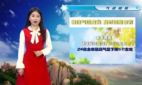 福鼎市天气预报每小时_福鼎天气预报24小