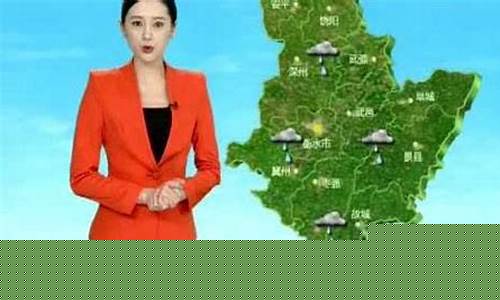 衡水天气预报二十四小时_河北衡水天气预报24小时查询