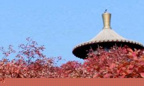 桐柏天气预报_桐柏天气预报15天最新