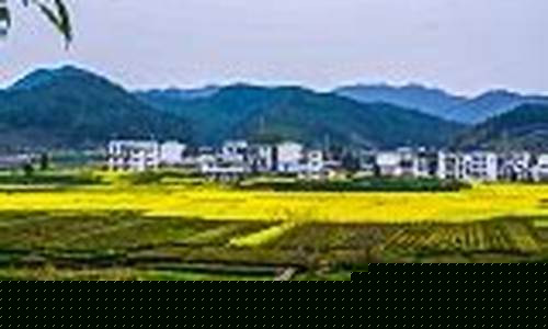 高安一周天气预报30天最新通知查询_高安