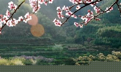 乐昌天气预报一周查询_乐昌天气预报一周
