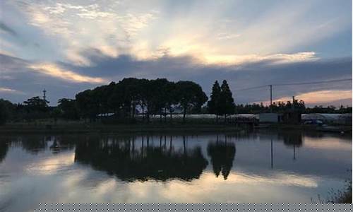 奉贤一周天气预报周五_奉贤天气15天