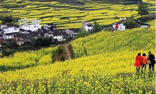 婺源一周天气情况怎么样了最新消息新闻_婺