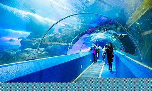 青岛海底世界_青岛海底世界海底隧道在哪里