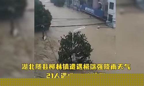 随县天气预报15天查询百度_随县天气