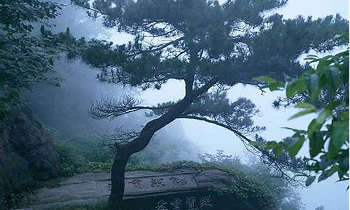 庐山在哪里_庐山在哪里哪个城市
